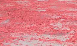 惠州鑫遠(yuǎn)程自動化【前處理包銅箔脫鋁箔一體機(jī)】初八開工啦??！